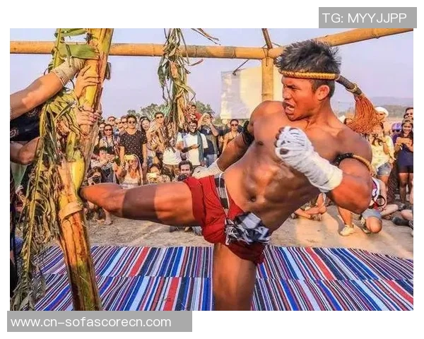 播求与一龙三番战再度交锋谁能在这场巅峰对决中笑到最后